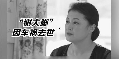 娱乐圈的吃瓜影帝 小说